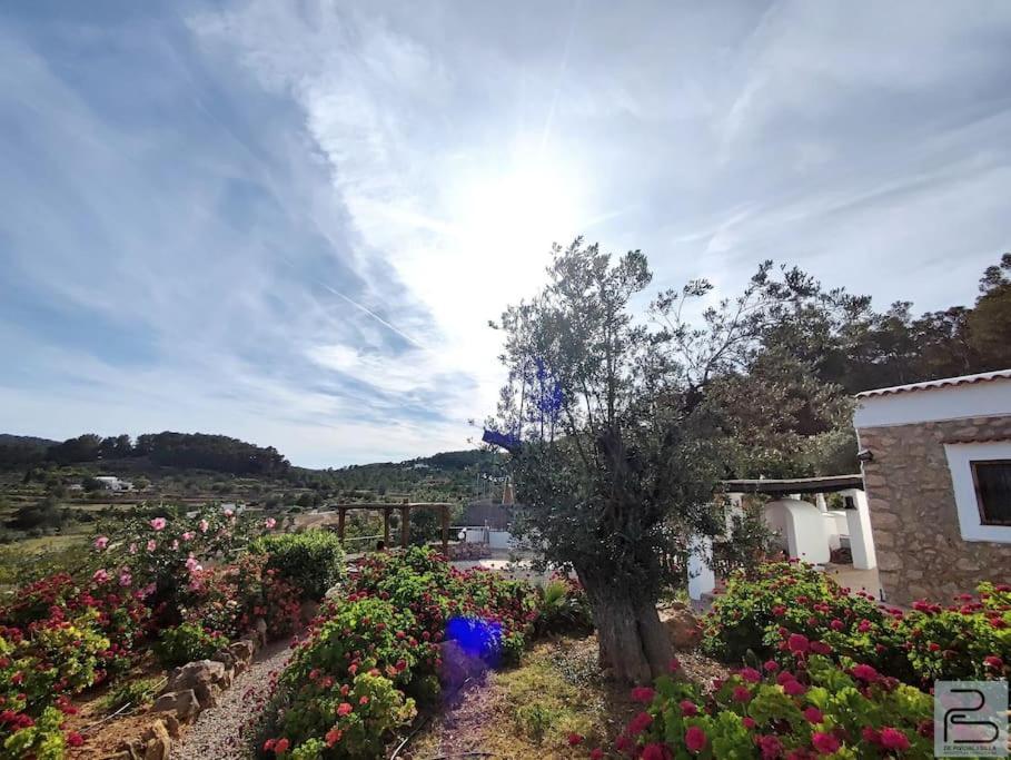 Casa Can Lluc Con Piscina, Jardin Y Vista Al Campo Сан-Мігель-де-Балансат Екстер'єр фото
