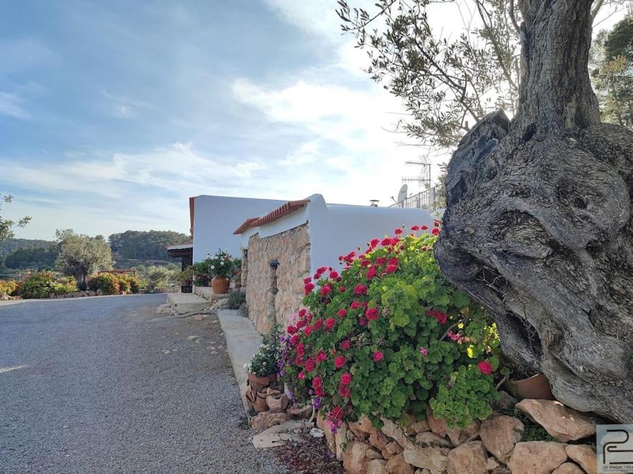 Casa Can Lluc Con Piscina, Jardin Y Vista Al Campo Сан-Мігель-де-Балансат Екстер'єр фото